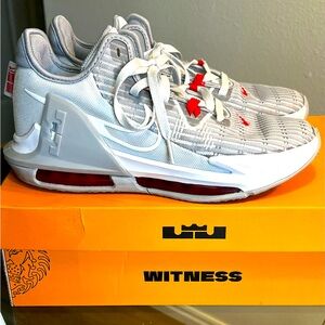 Labron James Witness VI